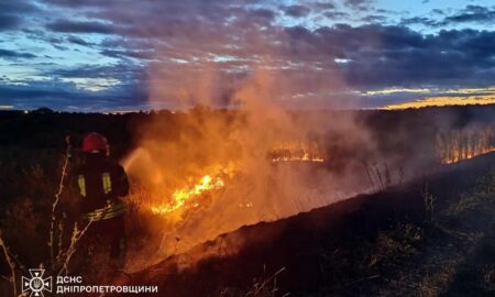 На Дніпропетровщині за добу вигоріло ще понад 48 гектарів екосистем (фото)