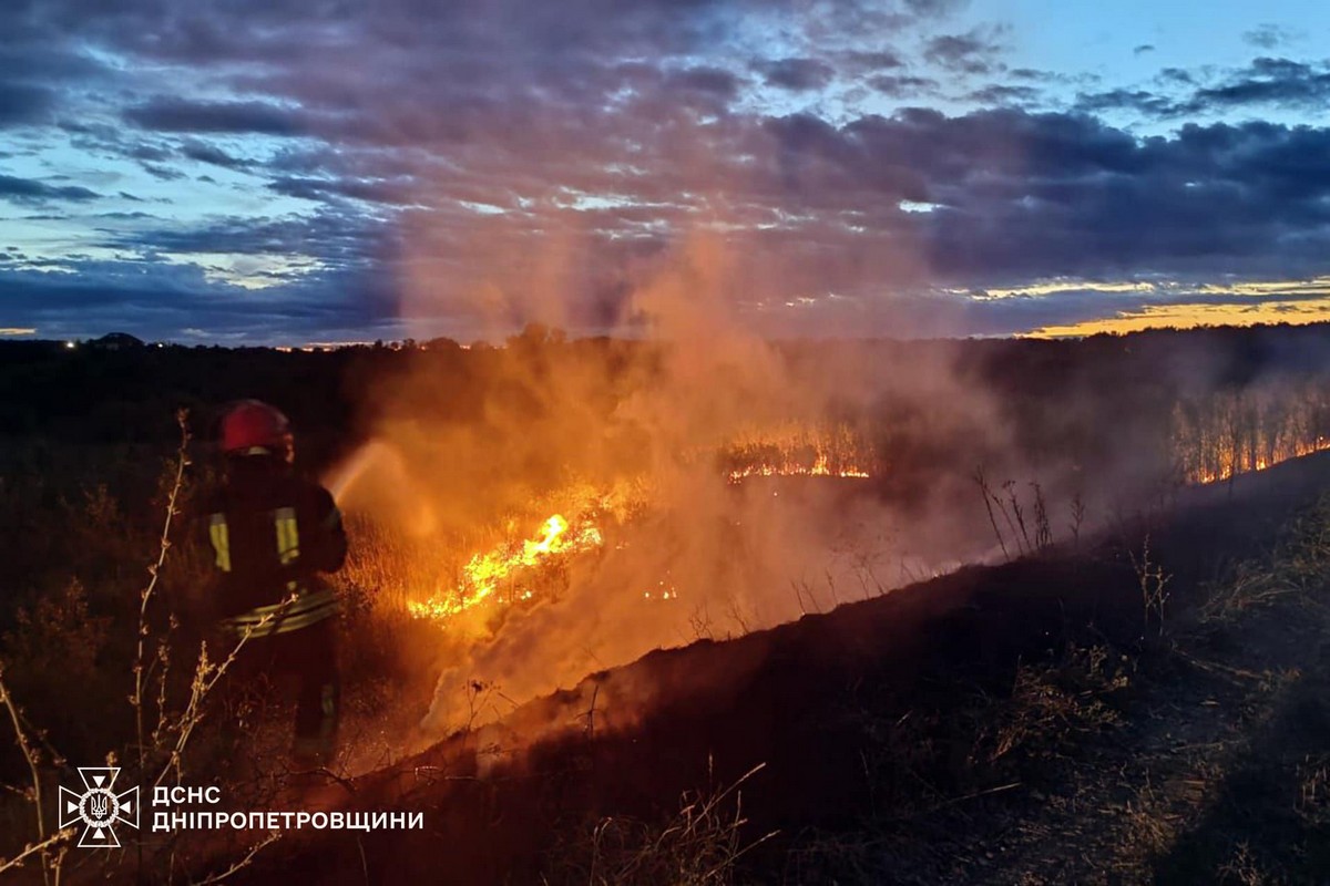 На Дніпропетровщині за добу вигоріло ще понад 48 гектарів екосистем (фото)