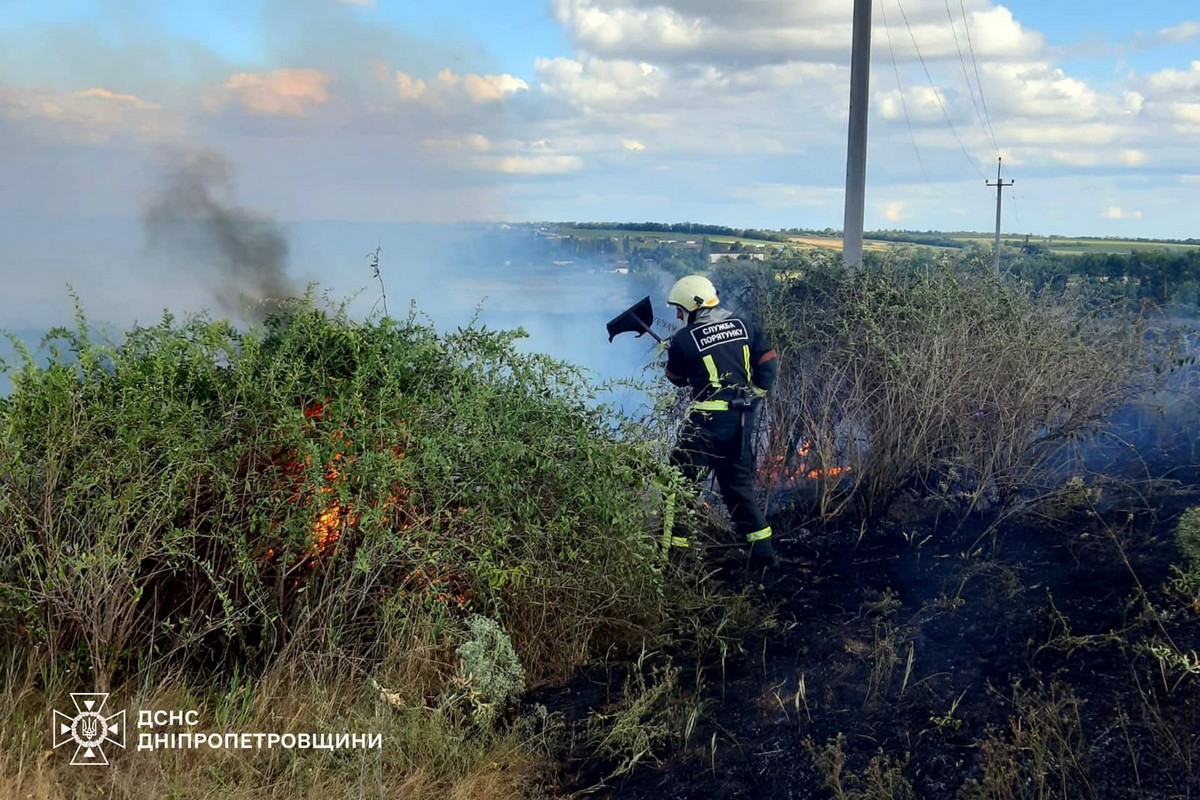 На Дніпропетровщині за добу вигоріло ще понад 48 гектарів екосистем (фото)