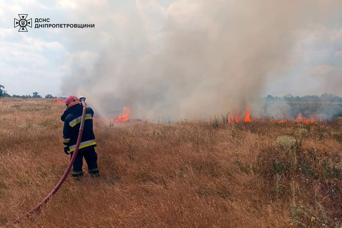 На Дніпропетровщині за добу вигоріло 52 гектари екосистем (фото)