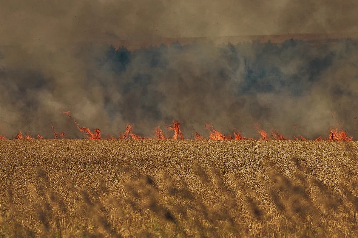Ворог знищив на Нікопольщині 3 га пшениці, через обстріли виникли пожежі і на Криворіжжі
