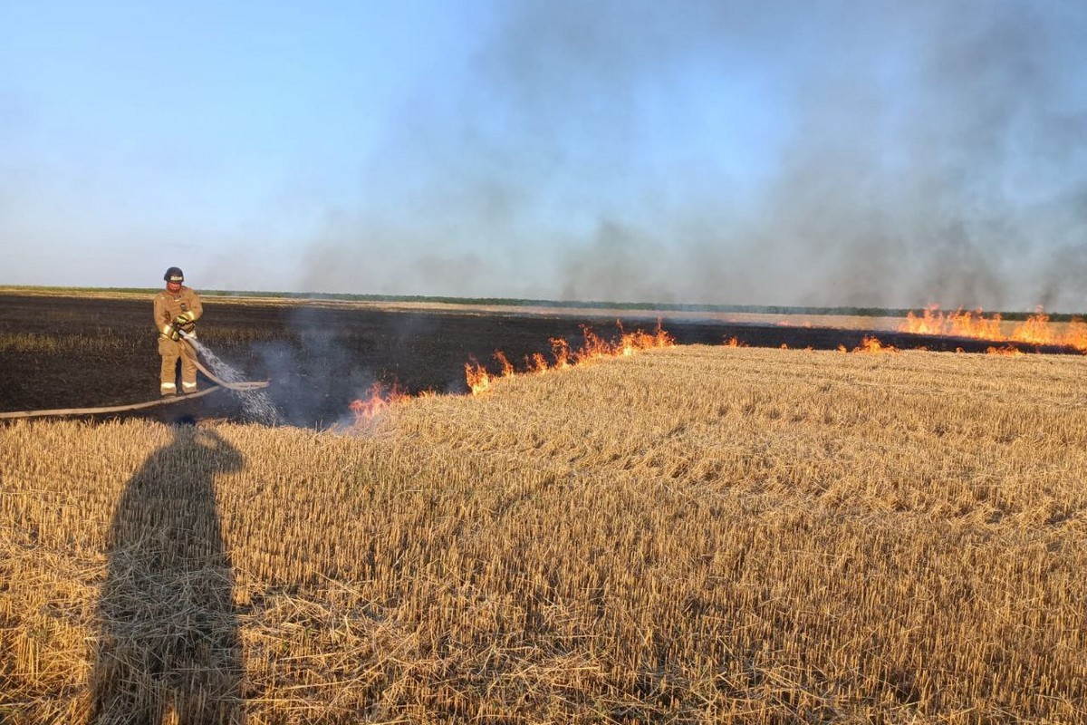 У Дніпрі 7 постраждалих через ракетну атаку, на Нікопольщині горіло поле з пшеницею і є руйнування (фото)