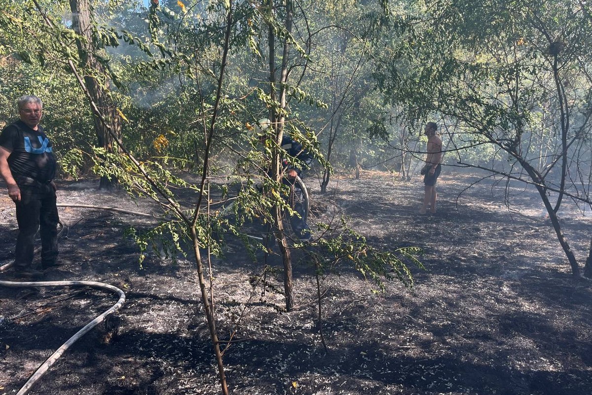 Через обстріли і спеку почастішали пожежі: у Червоногригорівській громаді нагадали, як правильно викликати допомогу