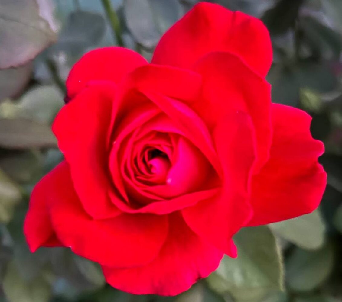 погода у Нікополі 3 липня