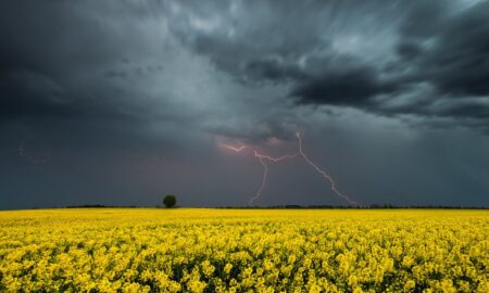 Мешканців Дніпропетровщини попередили про небезпечне метеорологічне явище