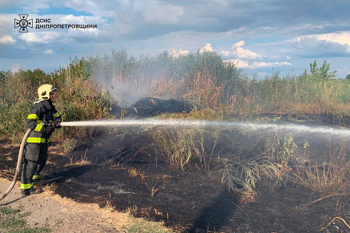 На Дніпропетровщині за добу вигоріло 33 гектари екосистем