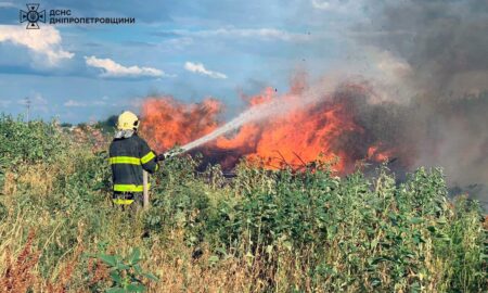 На Дніпропетровщині за добу вигоріло 33 гектари екосистем