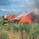 На Дніпропетровщині за добу вигоріло 33 гектари екосистем