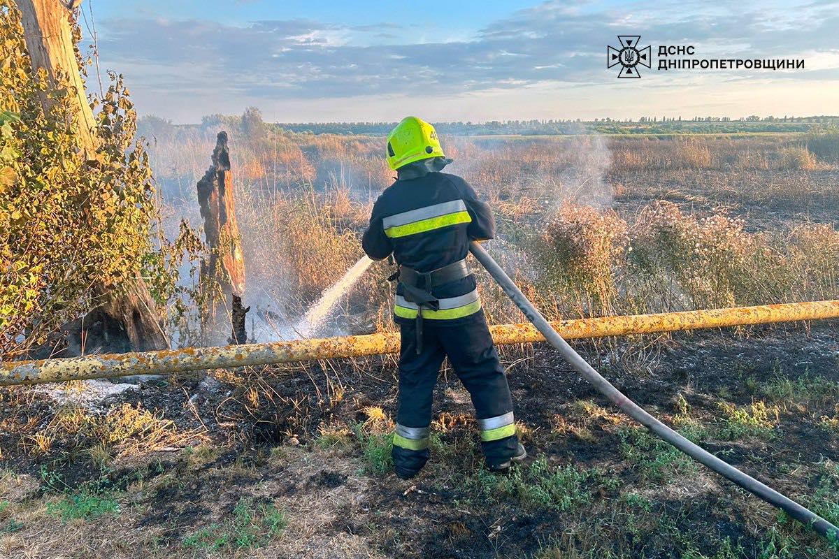 На Дніпропетровщині за добу вигоріло 33 гектари екосистем