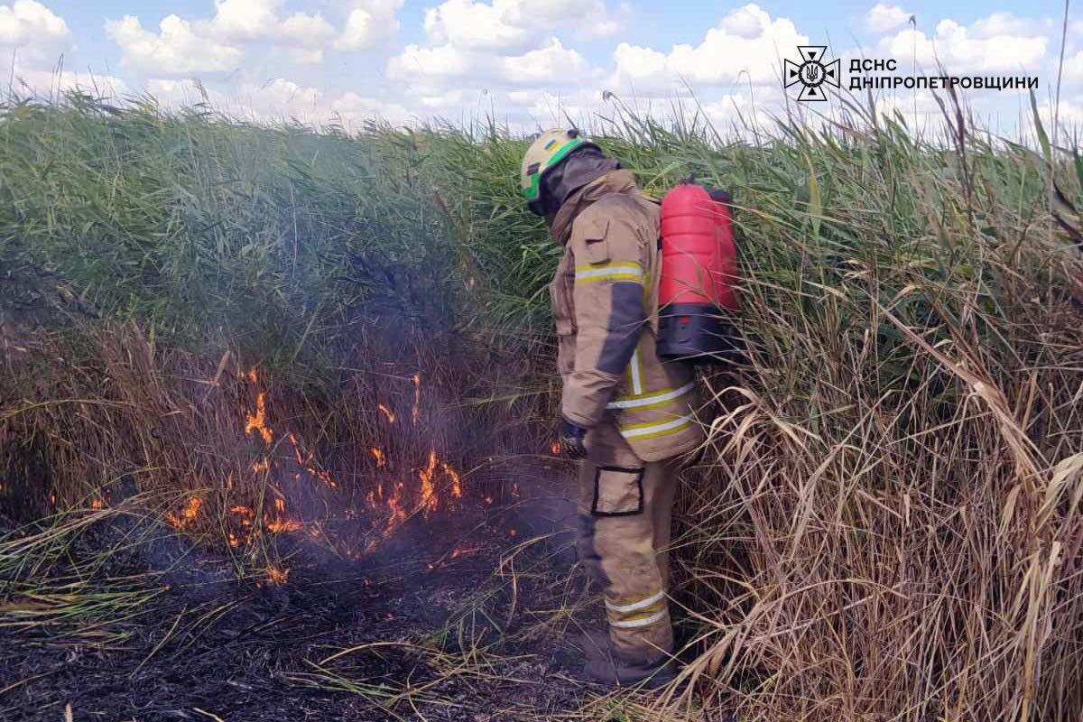 На Дніпропетровщині за добу вигоріло 33 гектари екосистем