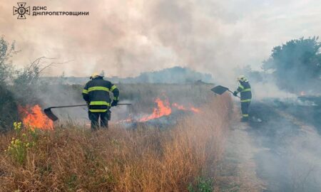 На Дніпропетровщині за добу вигоріло 30 га екосистем (фото)