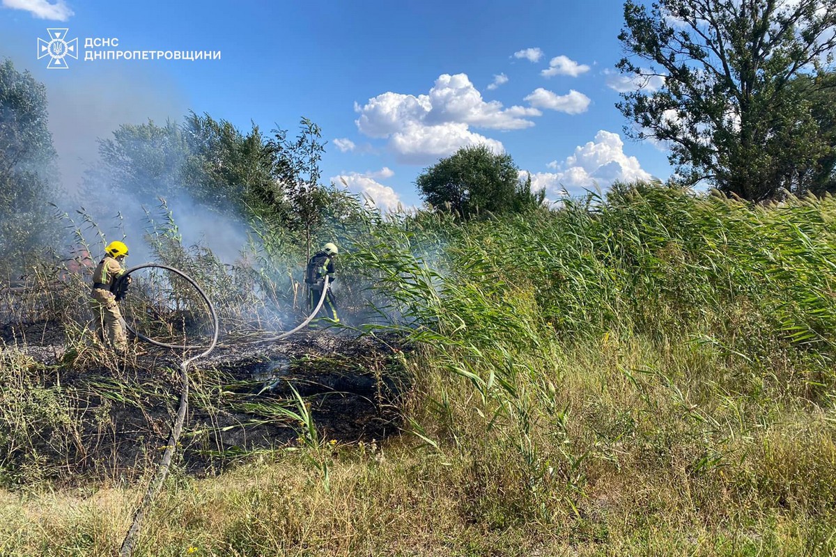 На Дніпропетровщині за добу вигоріло 45 га екосистем