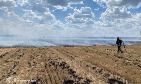 На Дніпропетровщині за добу вигоріло 45 га екосистем