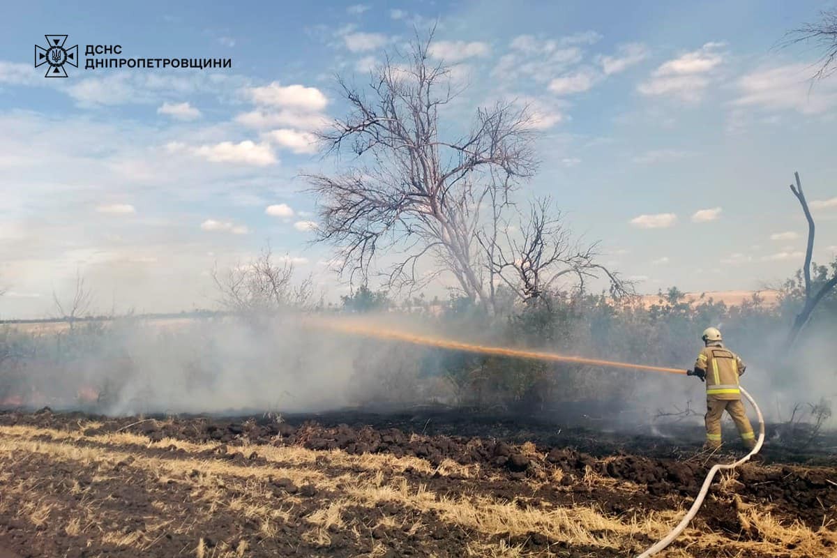 На Дніпропетровщині за добу вигоріло 30 га екосистем (фото)