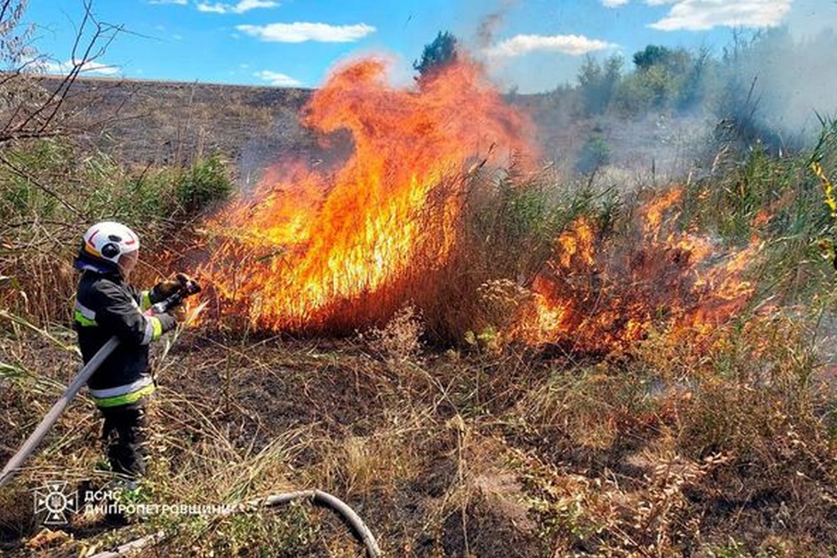 На Дніпропетровщині горів ліс, а всього вогонь за добу знищив 61 га екосистем