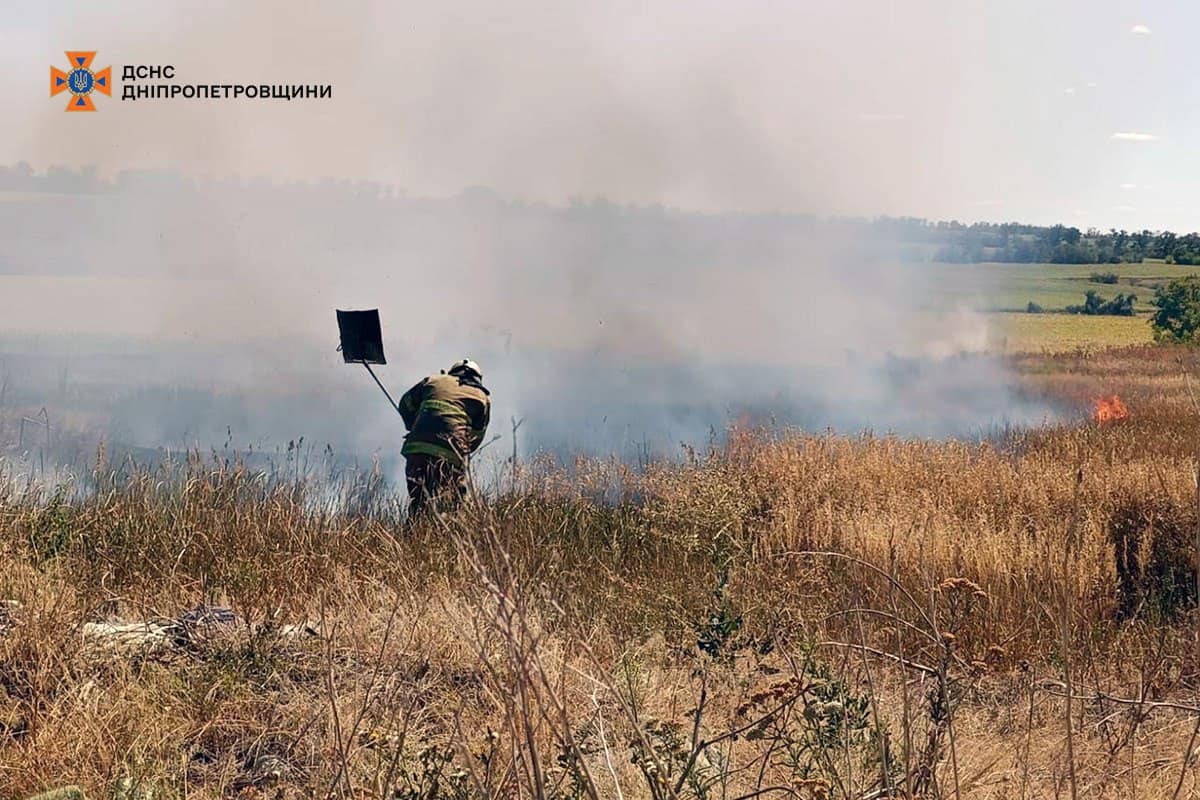 На Дніпропетровщині за добу вигоріло 53 га екосистем (фото)