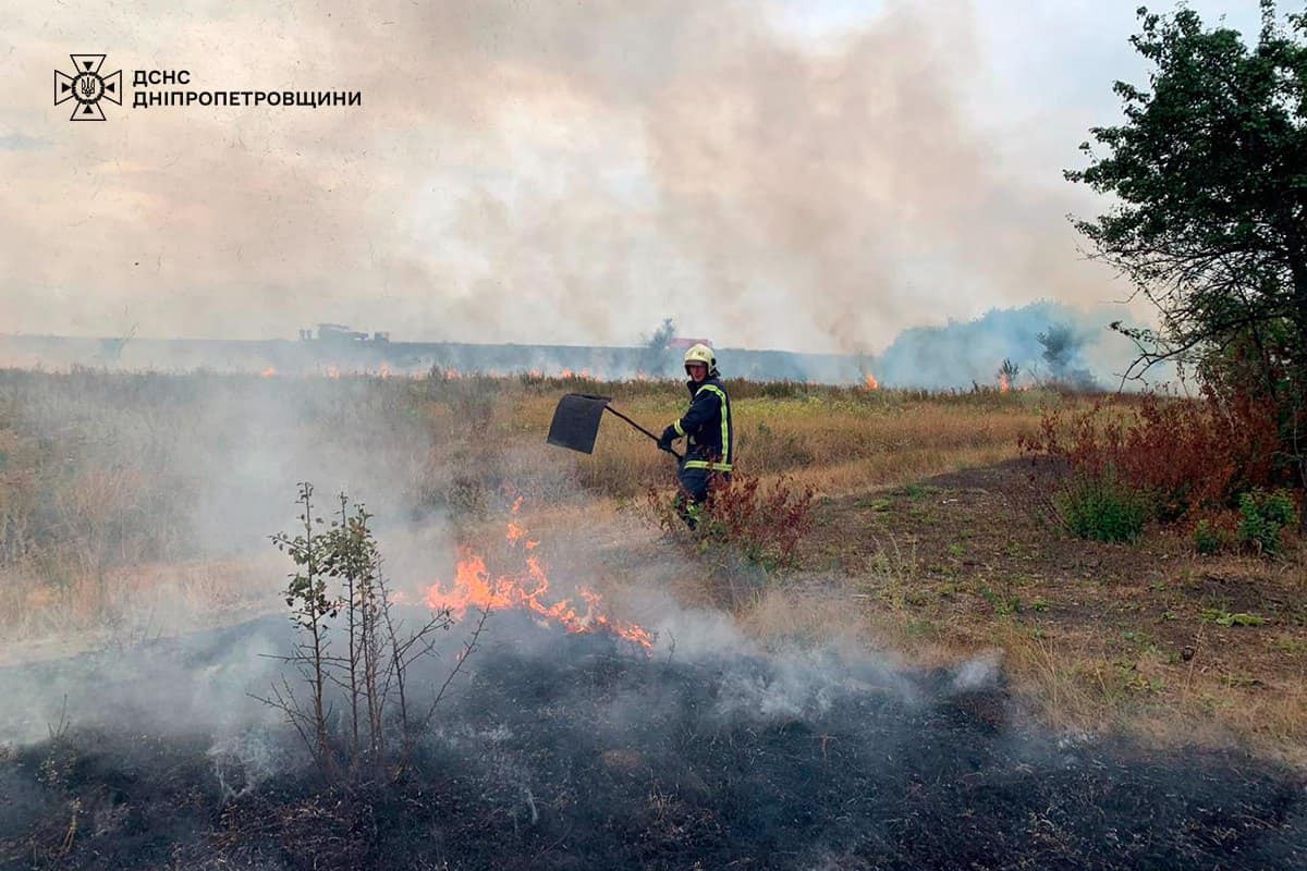 На Дніпропетровщині за добу вигоріло 30 га екосистем (фото)