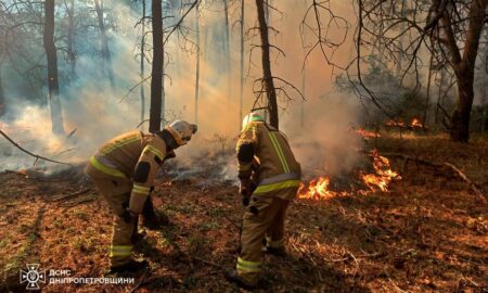 На Дніпропетровщині горів ліс, а всього вогонь за добу знищив 61 га екосистем