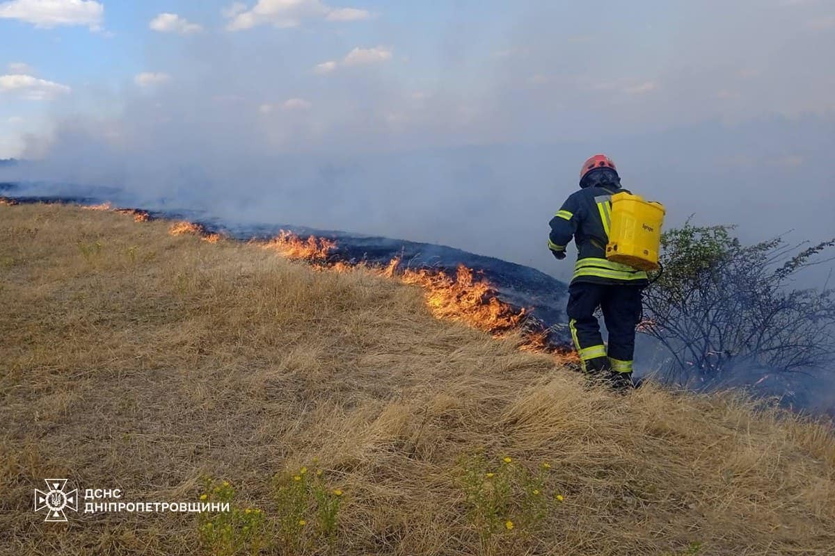 На Дніпропетровщині за добу вигоріло 54 га екосистем: фото