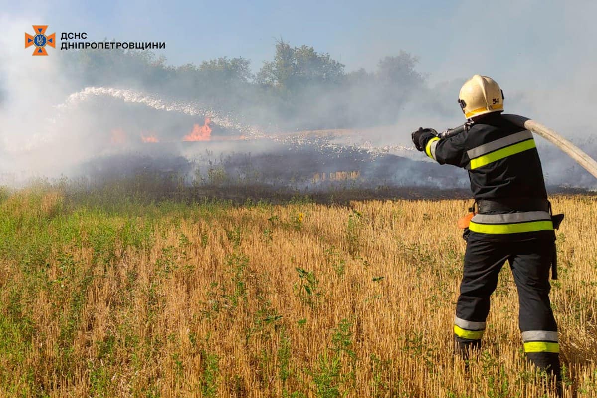 На Дніпропетровщині за добу вигоріло 53 га екосистем (фото)