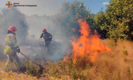 На Дніпропетровщині за добу вигоріло 53 га екосистем (фото)