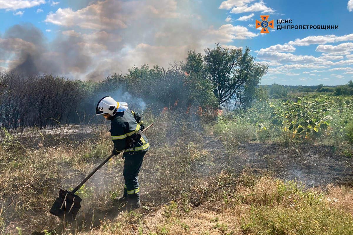 На Дніпропетровщині за добу вигоріло 53 га екосистем (фото)