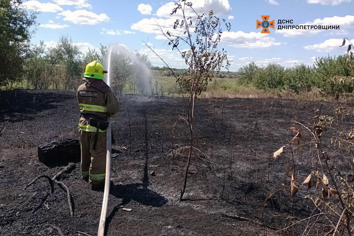 На Дніпропетровщині за добу вигоріло 53 га екосистем (фото)