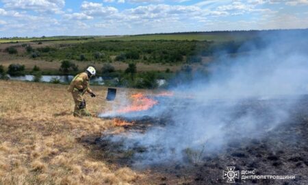 На Дніпропетровщині за добу вигоріло 54 га екосистем (фото)