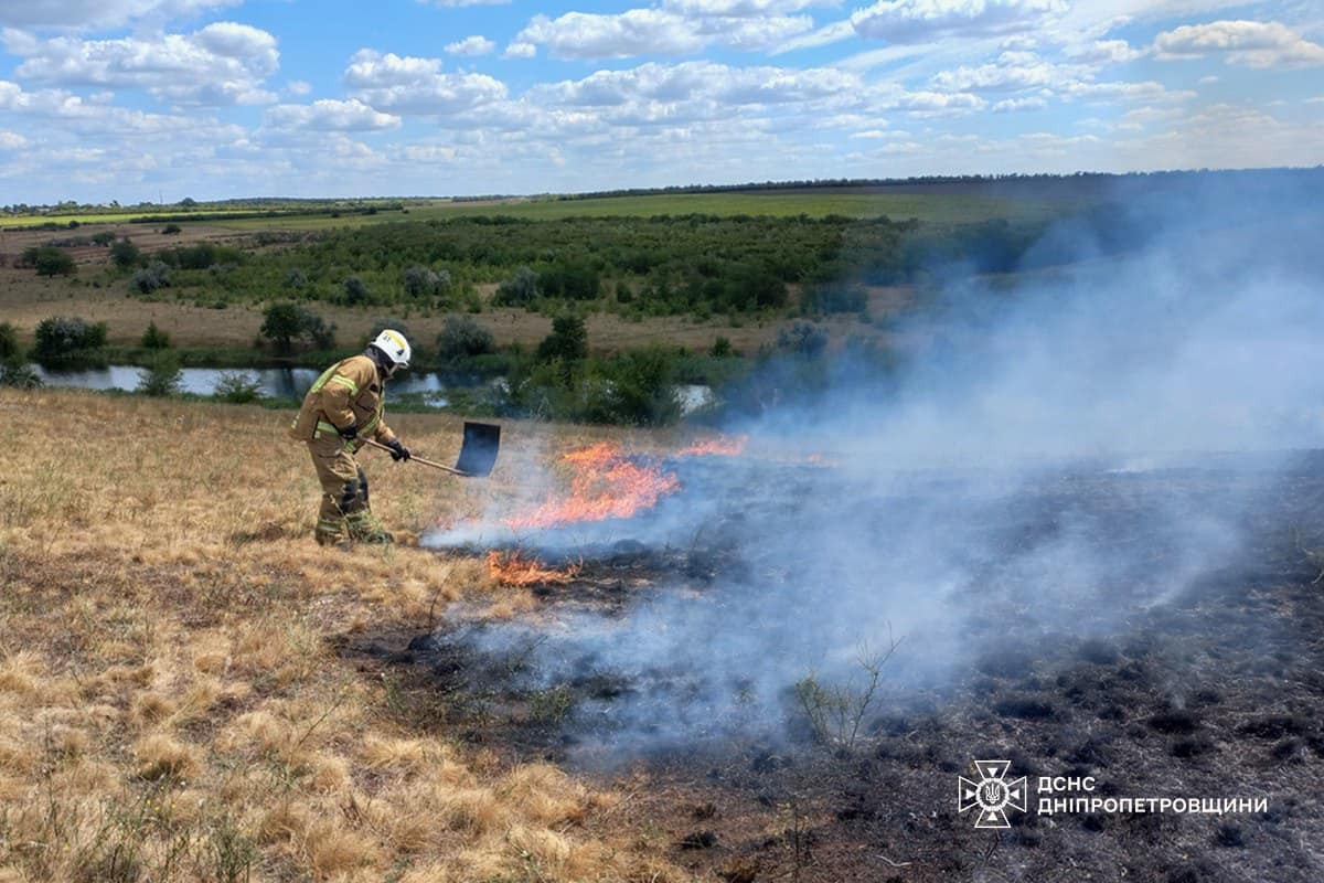 На Дніпропетровщині за добу вигоріло 54 га екосистем (фото)