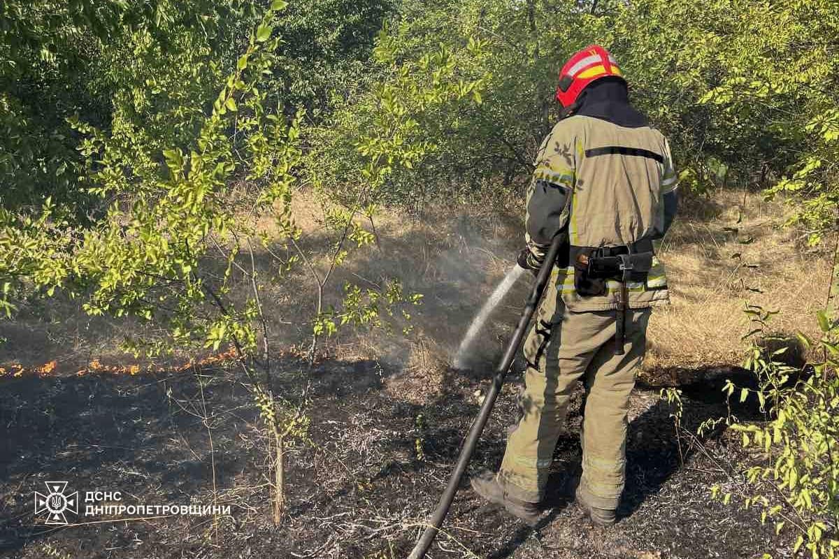 На Дніпропетровщині за добу вигоріло 54 га екосистем: фото