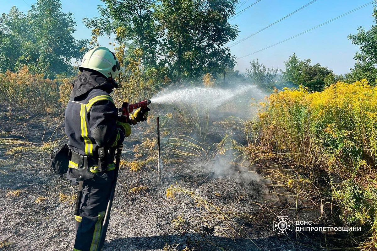 На Дніпропетровщині за добу вигоріло понад 85 га екосистем! (фото)