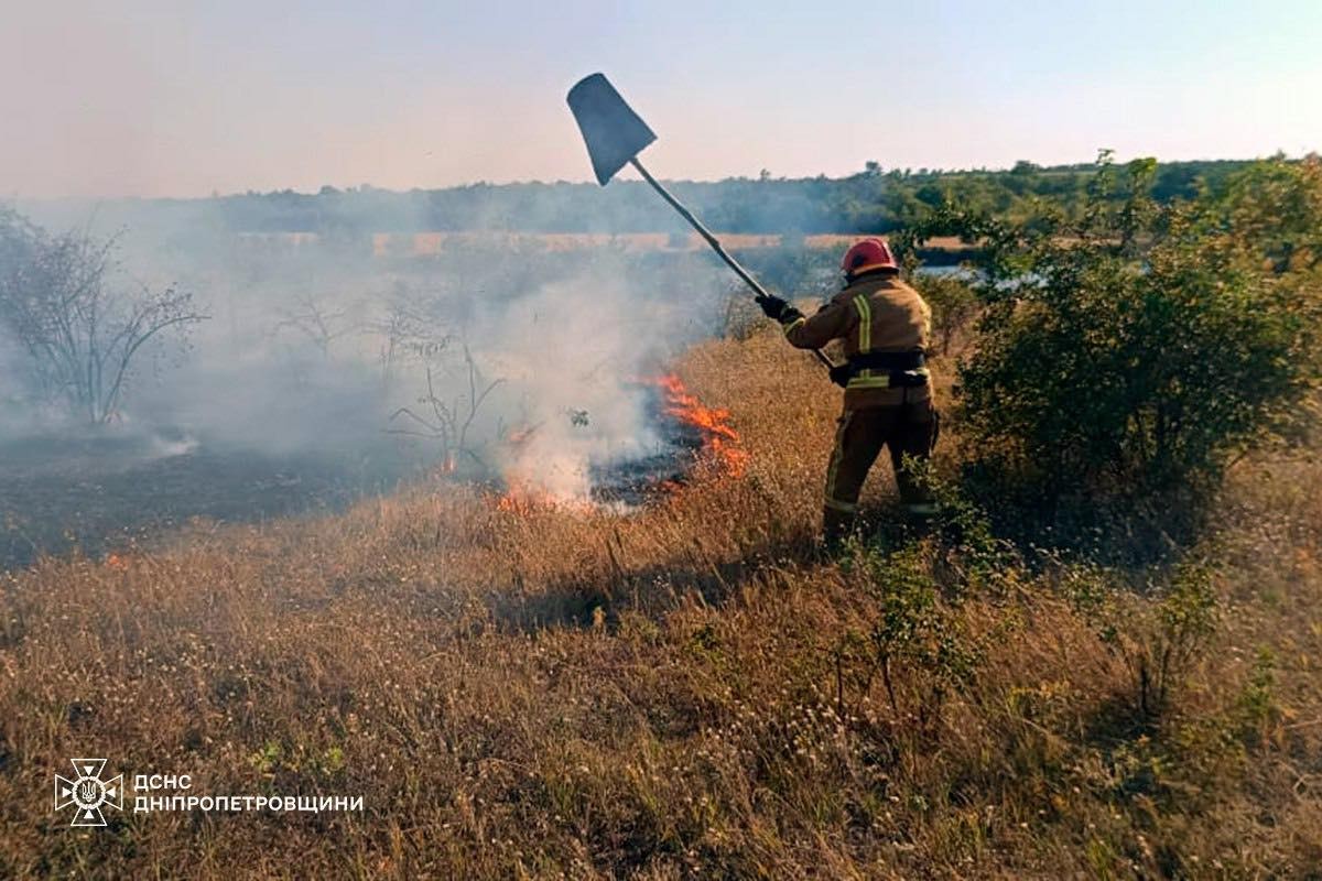 На Дніпропетровщині за добу вигоріло понад 85 га екосистем! (фото)