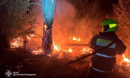 На Дніпропетровщині за добу вигоріло 46 га екосистем