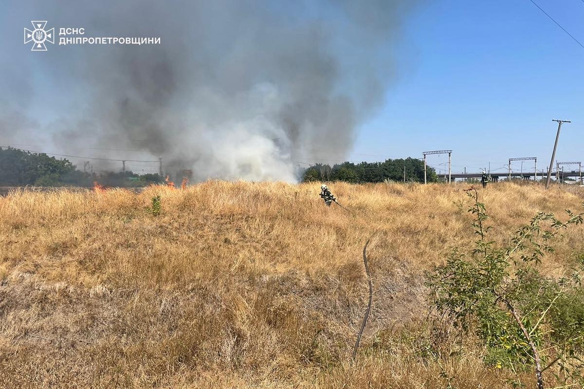 На Дніпропетровщині за добу вигоріло 76 га екосистем: кількість пожеж зростає