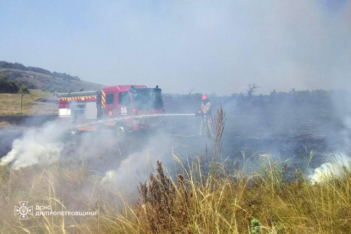 На Дніпропетровщині за добу вигоріло 76 га екосистем: кількість пожеж зростає