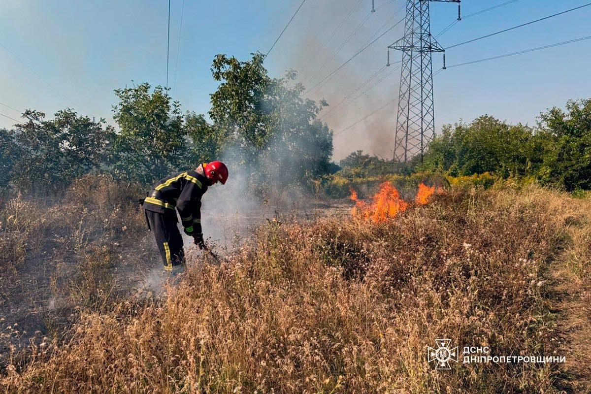 На Дніпропетровщині за добу вигоріло понад 85 га екосистем! (фото)