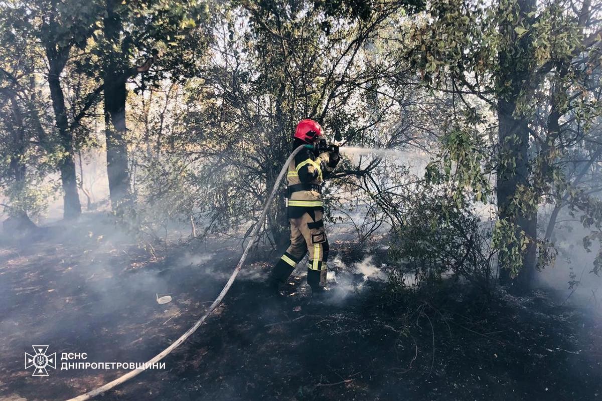 На Дніпропетровщині за добу вигоріло 76 га екосистем: кількість пожеж зростає