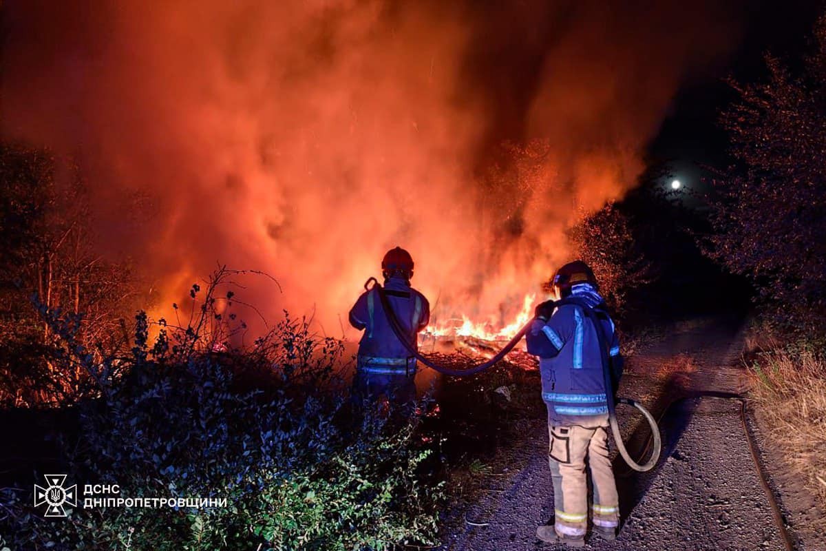 На Дніпропетровщині за добу вигоріло 46 га екосистем