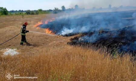 На Дніпропетровщині за добу вигоріло 55 га екосистем (фото)