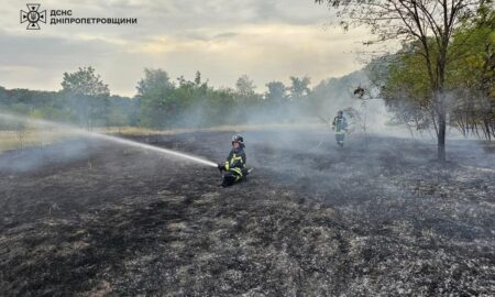 На Дніпропетровщині за добу вигоріло 80 га екосистем: ситуацію ускладнив вітер (фото)