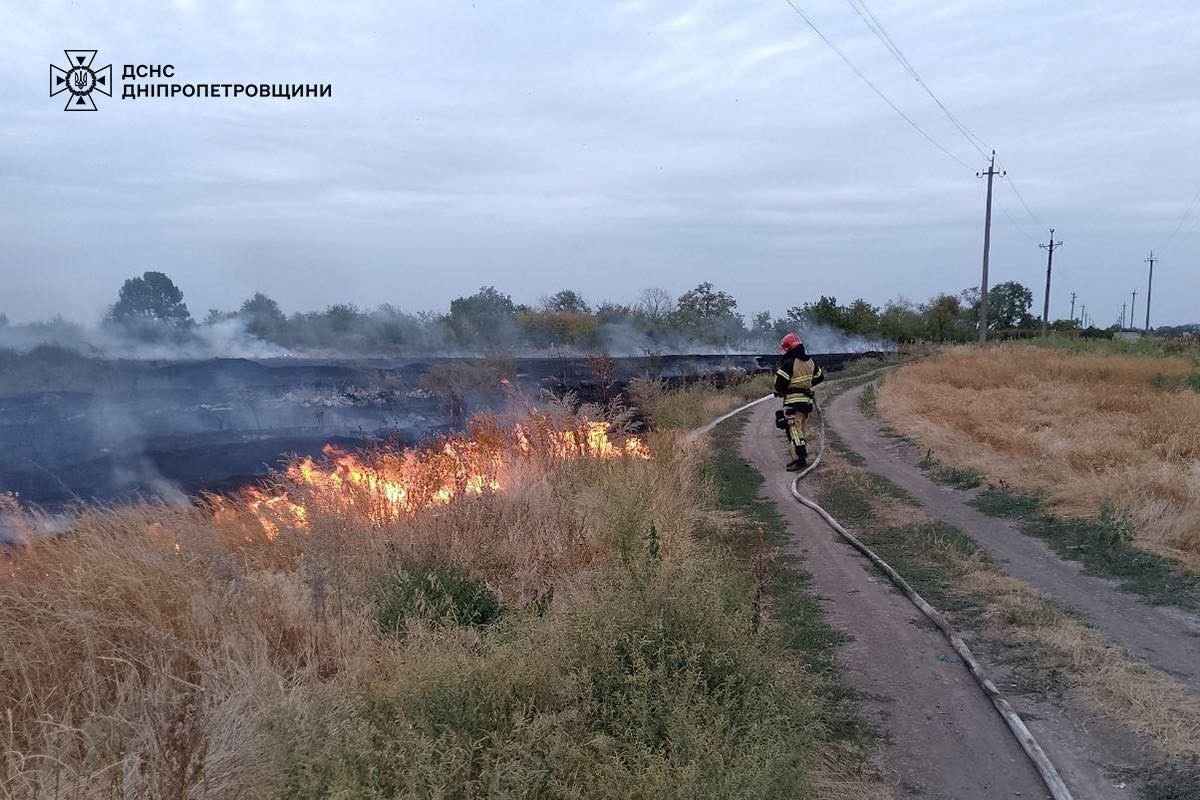 На Дніпропетровщині за добу вигоріло 80 га екосистем: ситуацію ускладнив вітер (фото)