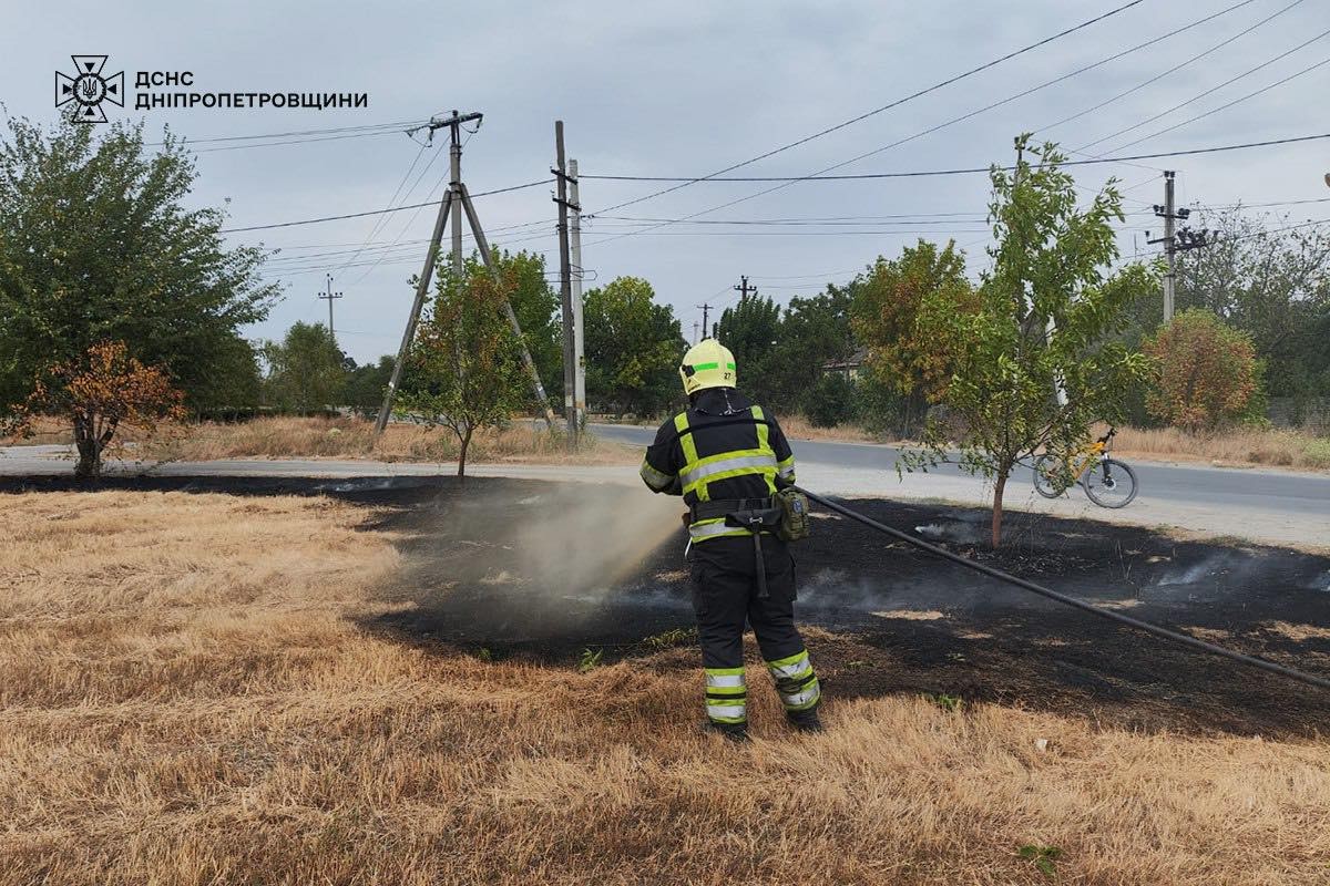 На Дніпропетровщині за добу вигоріло 80 га екосистем: ситуацію ускладнив вітер (фото)