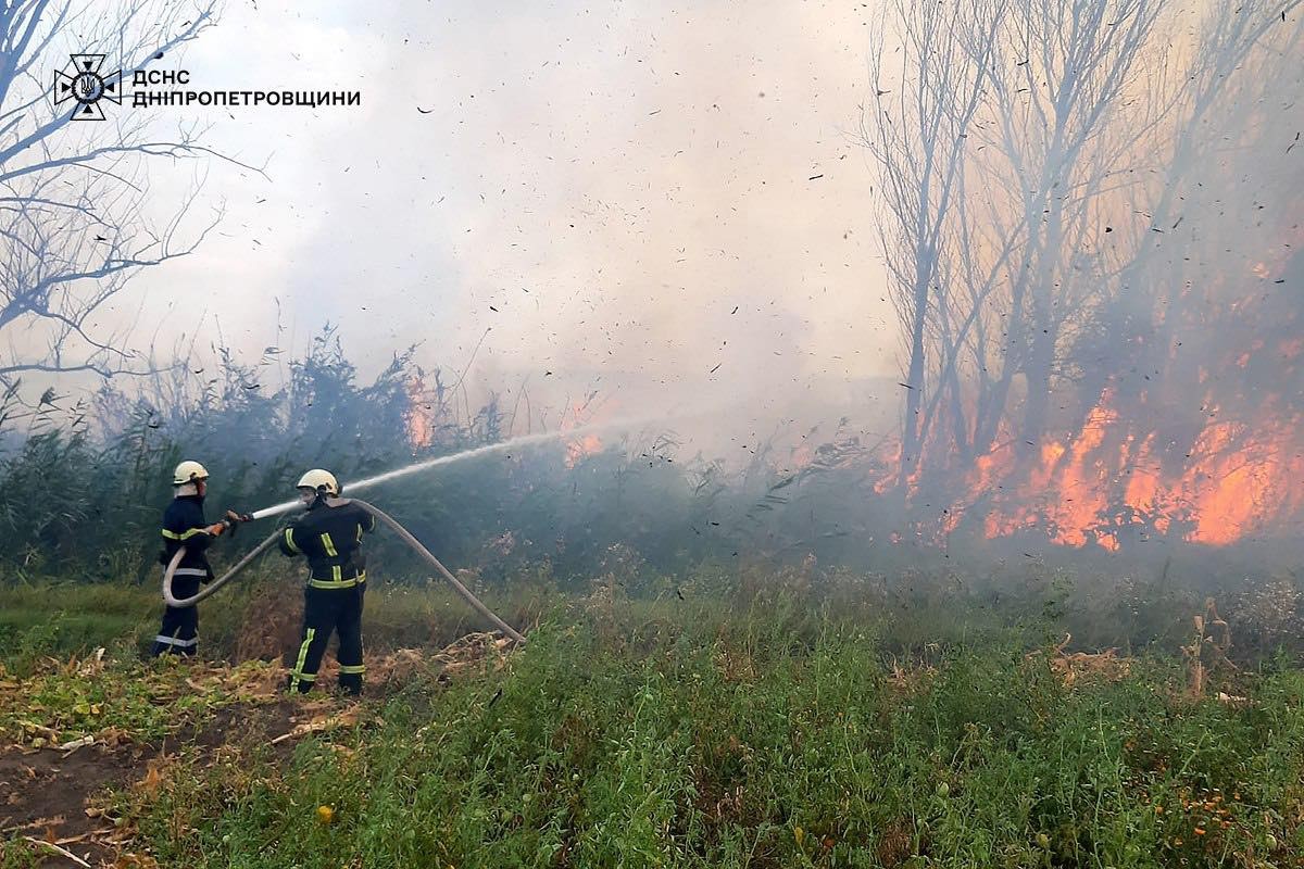 На Дніпропетровщині за добу вигоріло 80 га екосистем: ситуацію ускладнив вітер (фото)