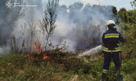 На Дніпропетровщині протягом доби ліквідували 64 займання в екосистемах (фото)