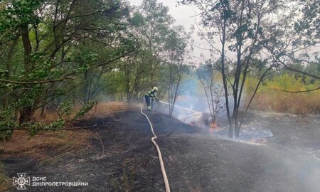  Протягом доби на Дніпропетровщині ліквідували 95 пожеж у природних екосистемах (фото)