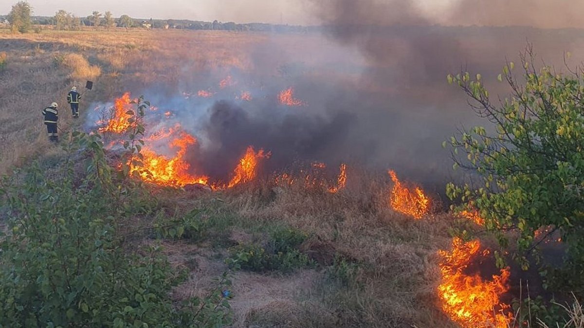 на Нікопольщині сталася пожежа 1