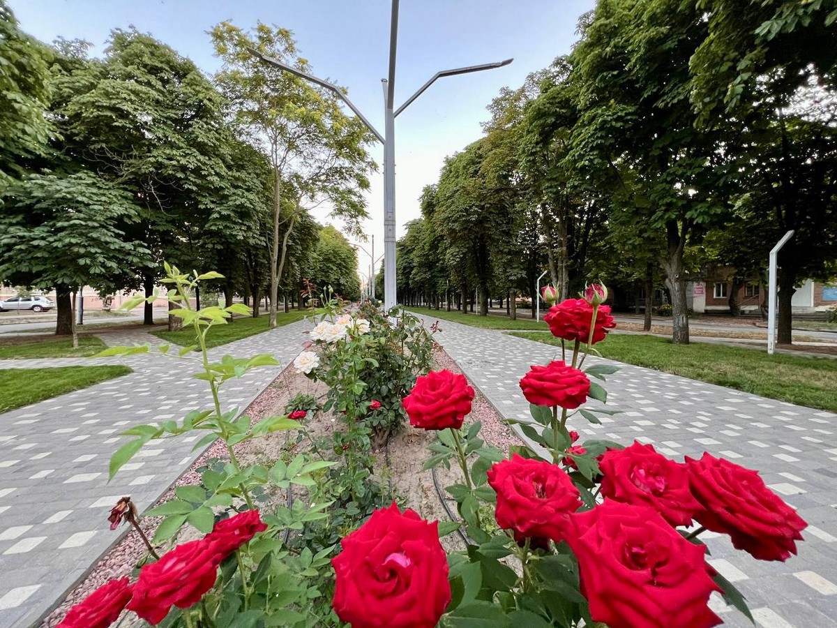 Атакували область з неба та обстрілювали Нікопольщину: як пройшла ніч 19 серпня на Дніпропетровщині