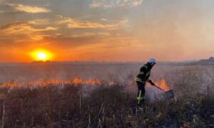 Під Дніпром жінка намагалася загасити вогонь на ділянці і отримала опіки – в регіоні вигоріло 37 га екосистем