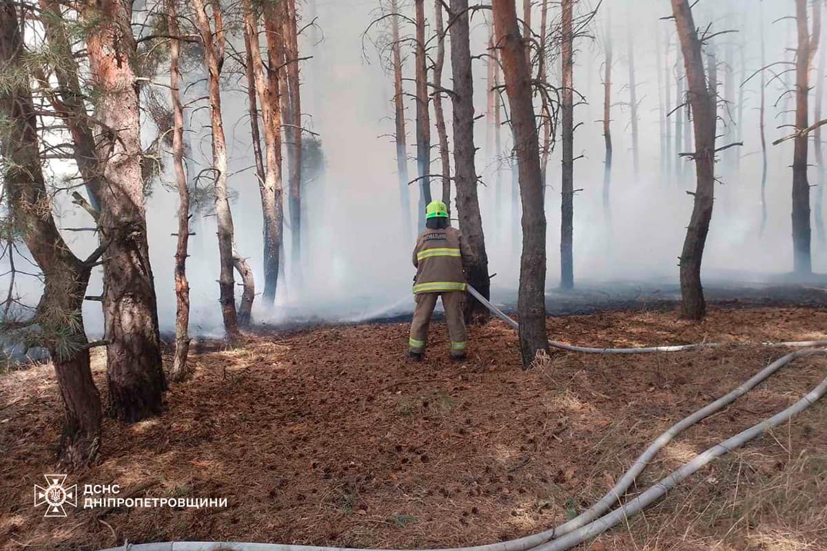 На Дніпропетровщині сталася масштабна лісова пожежа, а всього вигоріло 140 га екосистем за добу (фото)