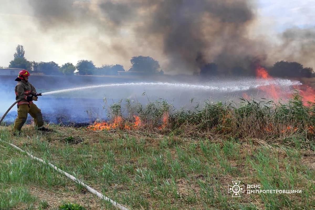 На Дніпропетровщині за добу вигоріло 149 га екосистем (фото)